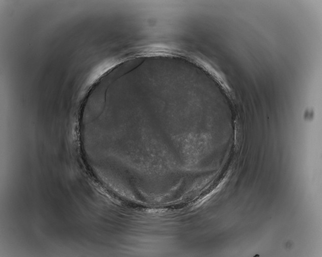 X0000099451453200805301502