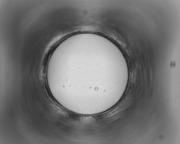 X0000099451454200805301502