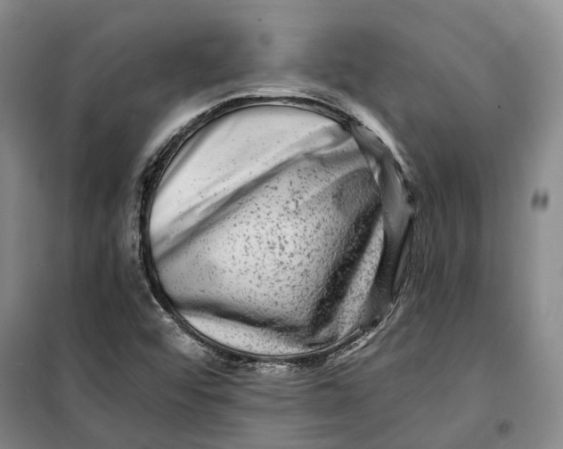 X0000099451456200805301502