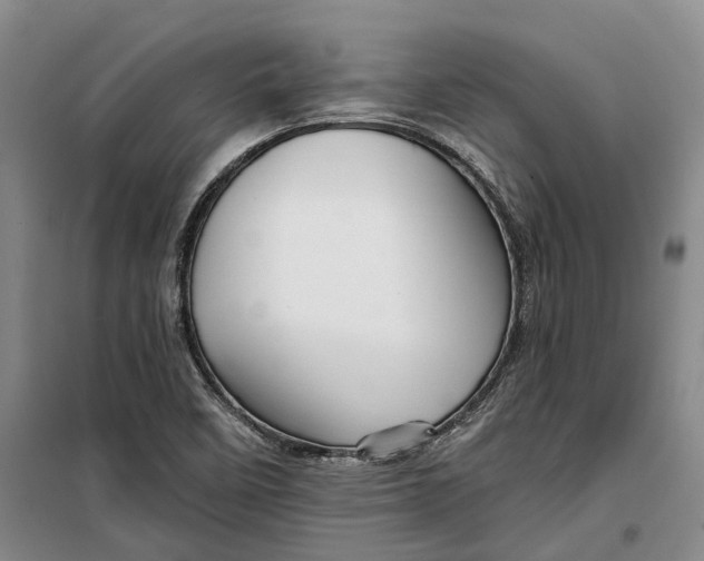 X0000099451458200805301502