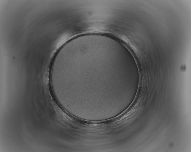 X0000099451459200805301502