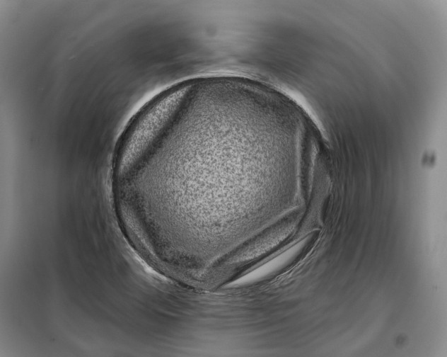 X0000099451460200805301502