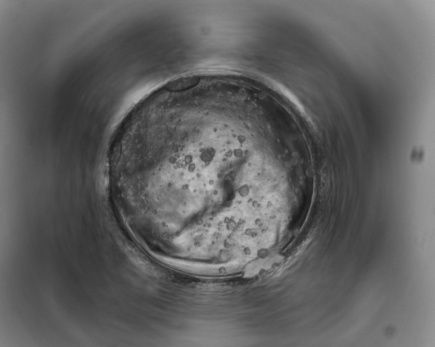 X0000099451461200805301502