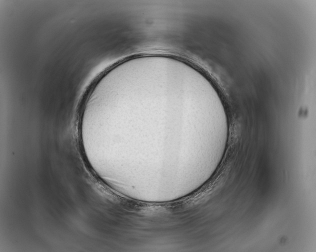 X0000099451462200805301502