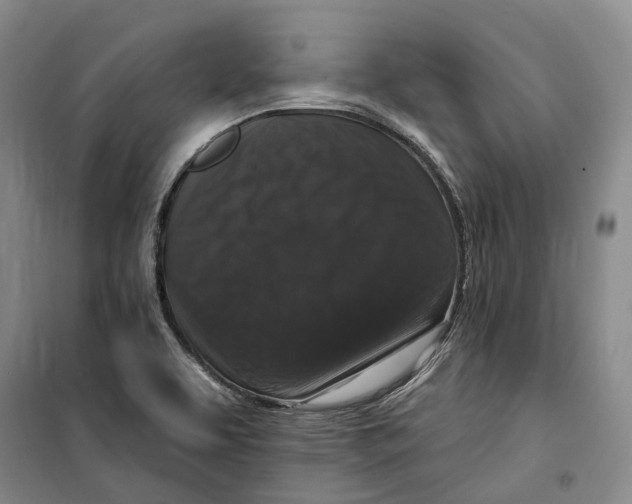 X0000099451463200805301502