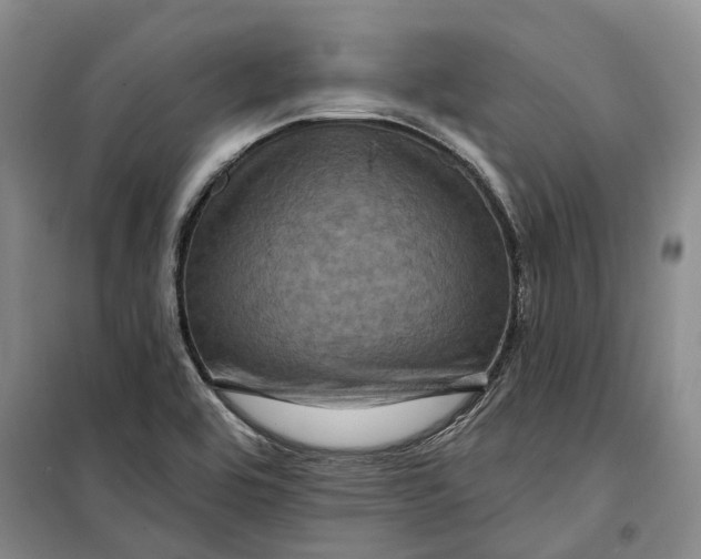 X0000099451464200805301502