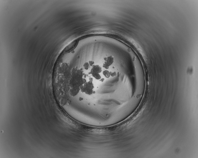 X0000099451465200805301502