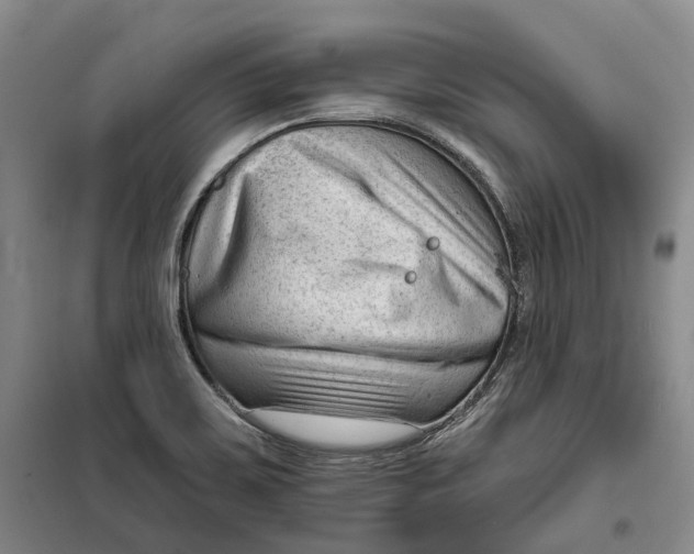 X0000099451467200805301502