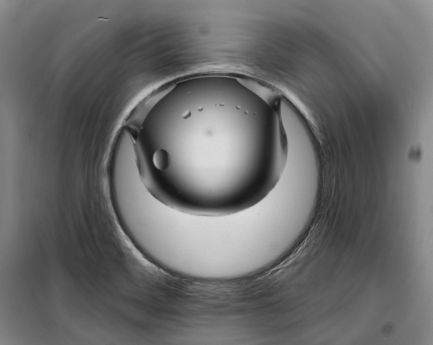 X0000099451468200805301502