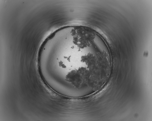 X0000099451469200805301502