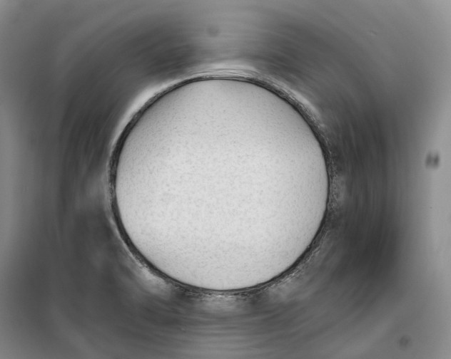 X0000099451470200805301502