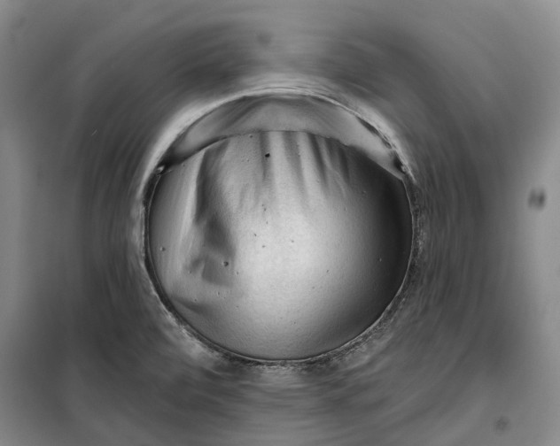 X0000099451472200805301502