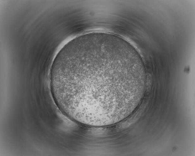 X0000099451474200805301502