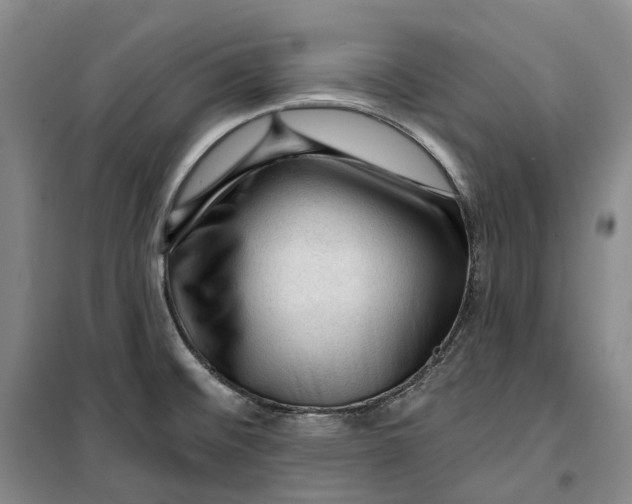 X0000099451476200805301502