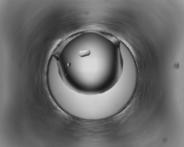 X0000099451477200805301502