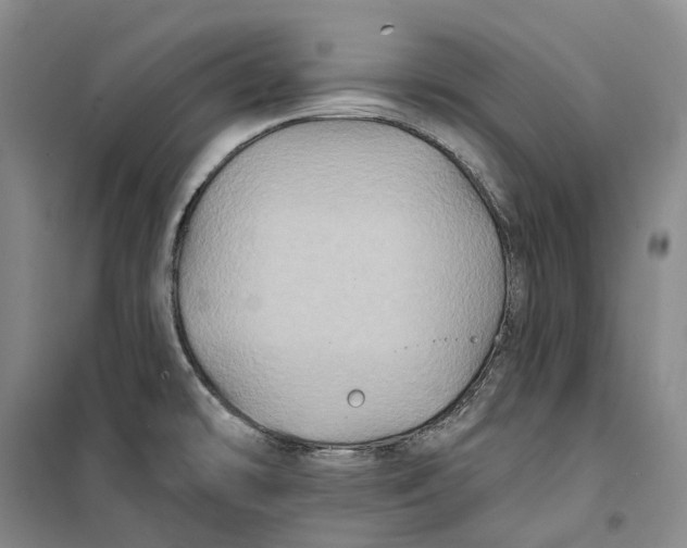 X0000099451478200805301502