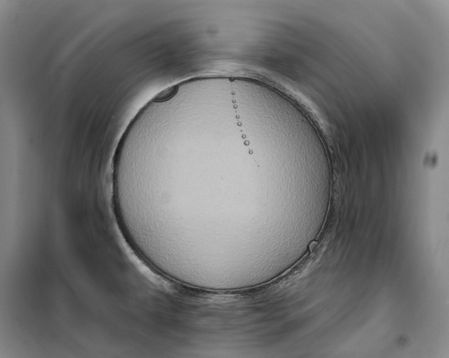 X0000099451479200805301502