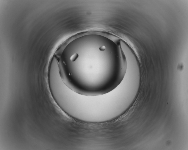 X0000099451480200805301502