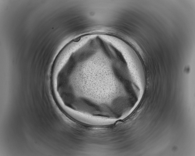 X0000099451483200805301502