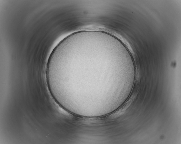 X0000099451486200805301501