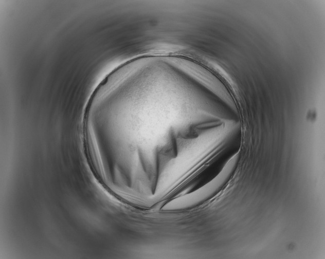 X0000099451487200805301501