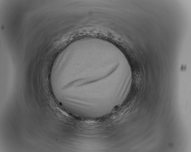 X0000099451489200805301501