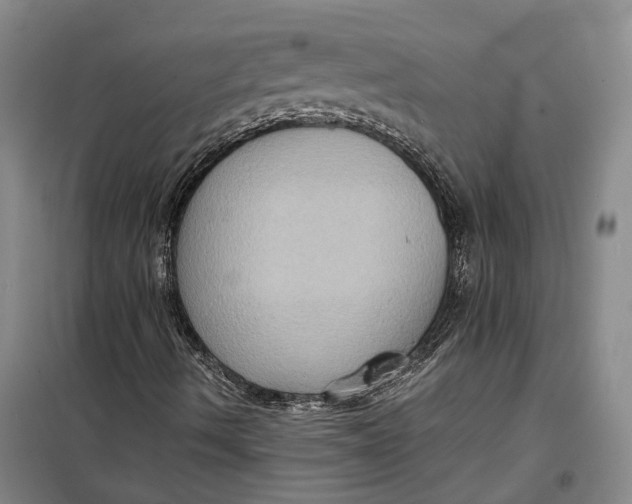 X0000099451490200805301501