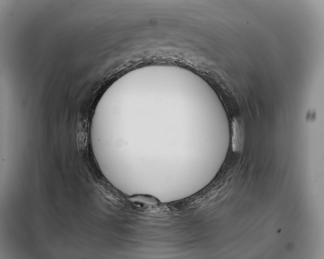 X0000099451491200805301501