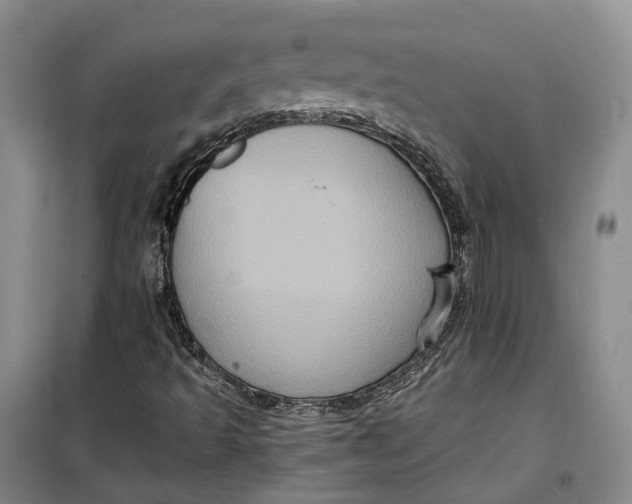 X0000099451493200805301501