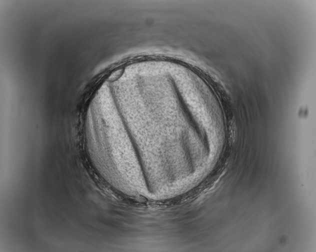 X0000099451494200805301501