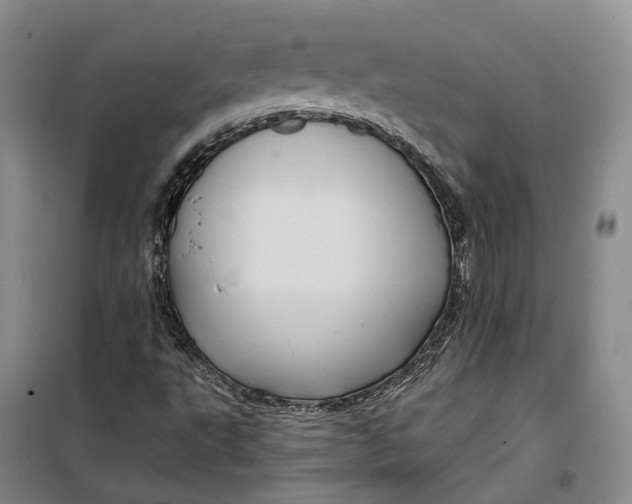 X0000099451495200805301501