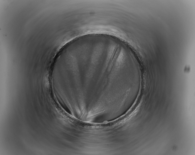 X0000099451497200805301501