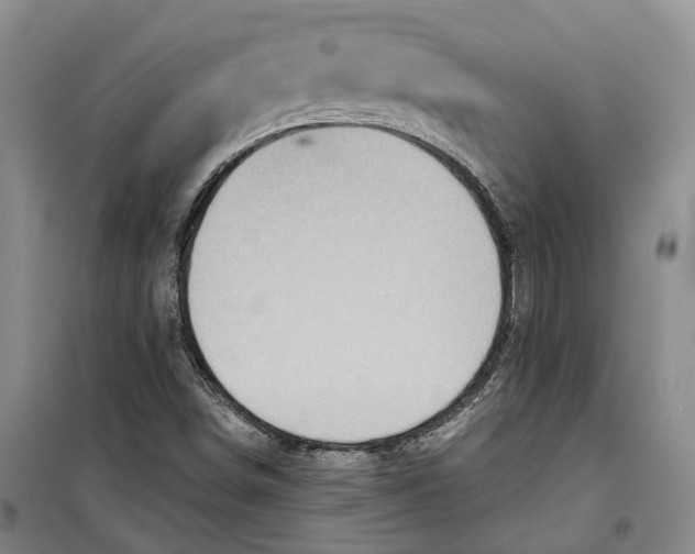 X0000099451498200805301501