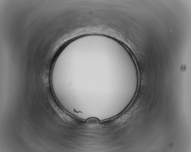 X0000099451499200805301501