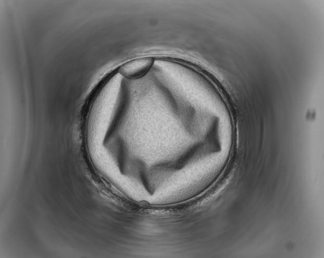 X0000099451501200805301501