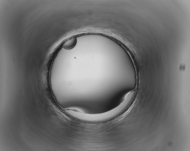 X0000099451502200805301501