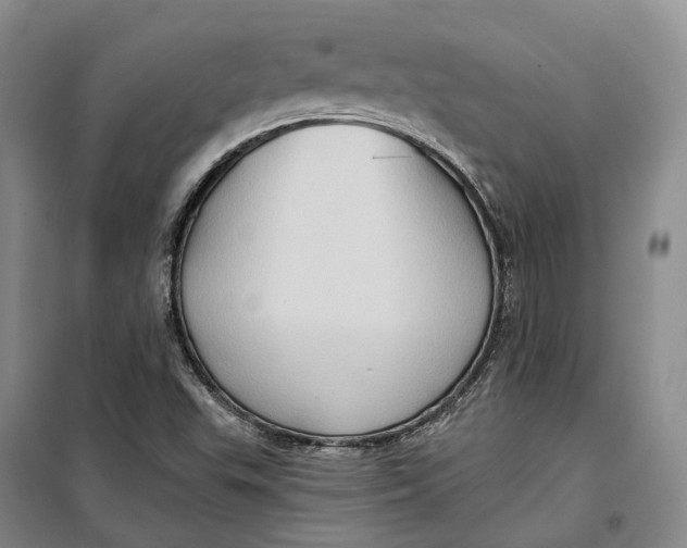 X0000099451503200805301501