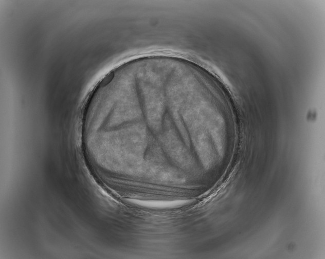 X0000099451504200805301501