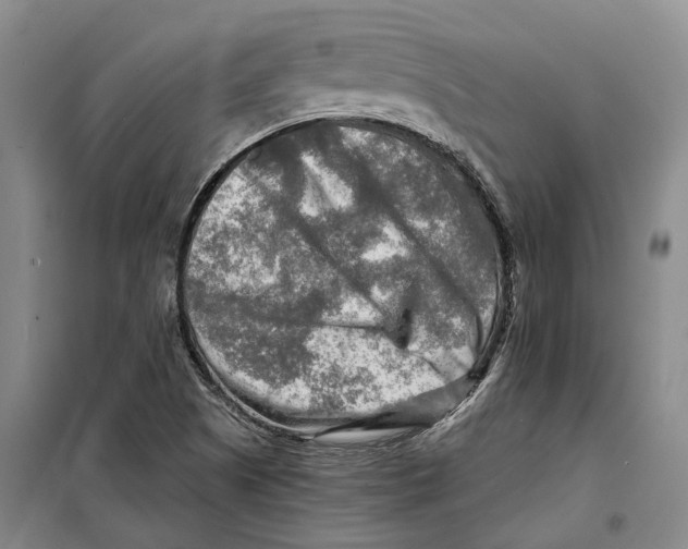 X0000099451505200805301501