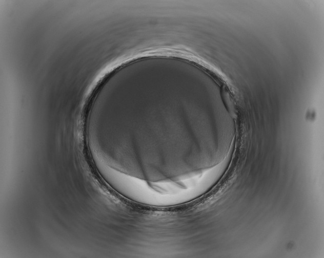 X0000099451506200805301501