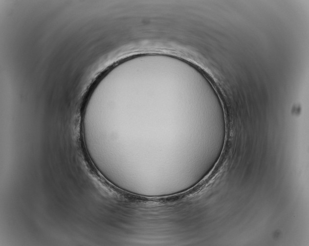 X0000099451507200805301501