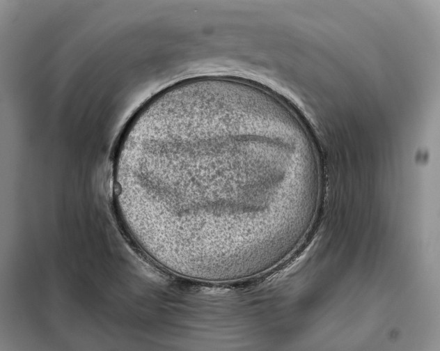 X0000099451509200805301501