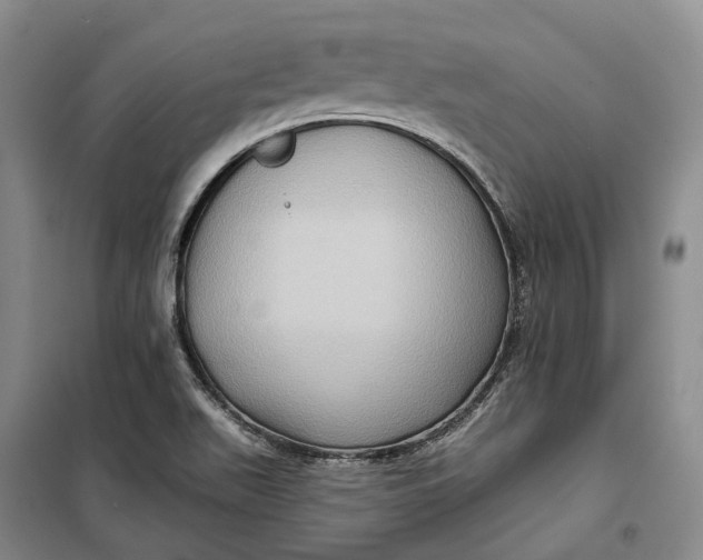 X0000099451511200805301501