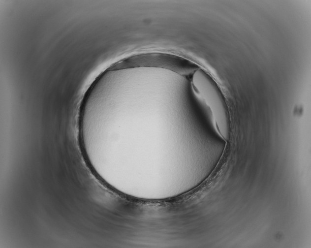 X0000099451512200805301501