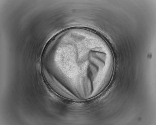 X0000099451513200805301501