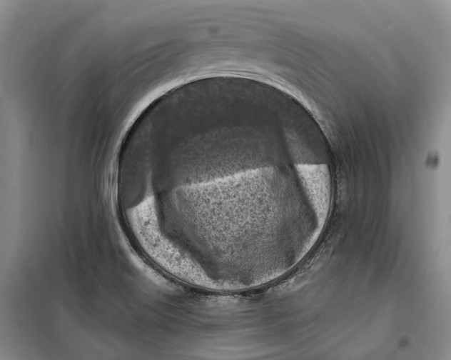 X0000099451515200805301501