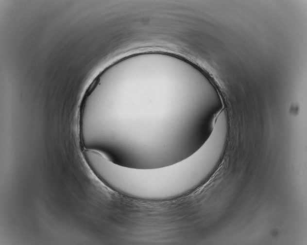 X0000099451516200805301501