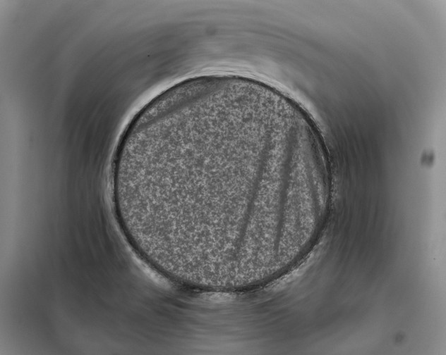 X0000099451517200805301501