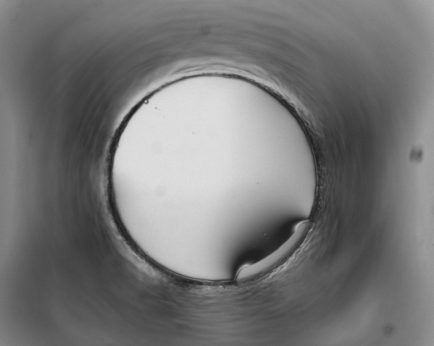 X0000099451518200805301501