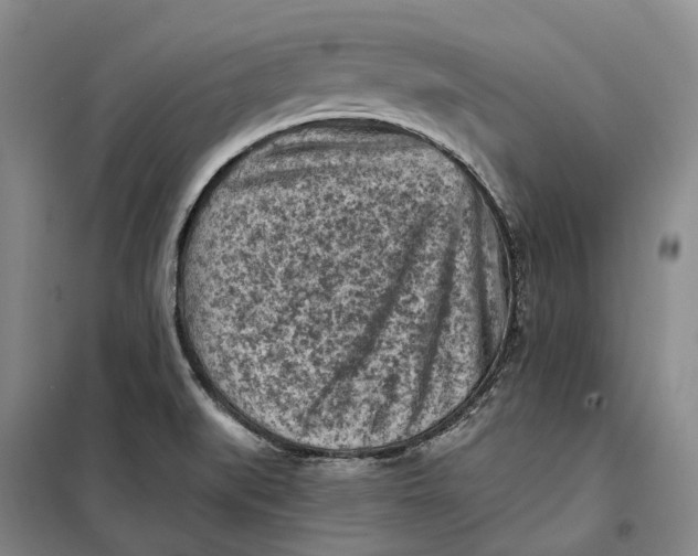 X0000099451519200805301501